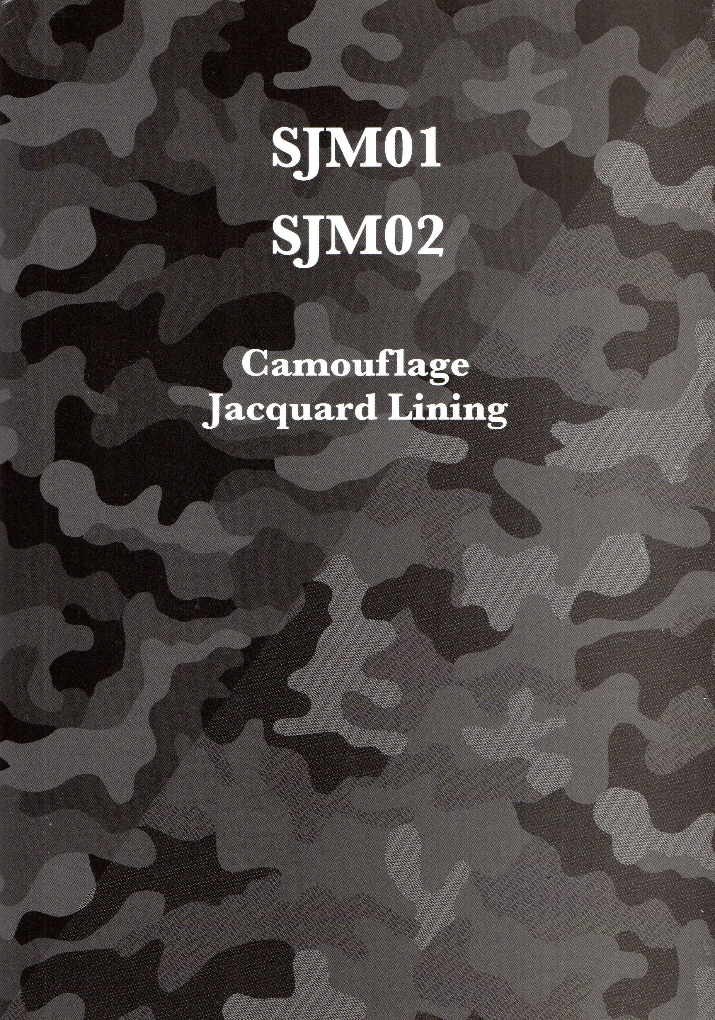 SJM01-02-01
